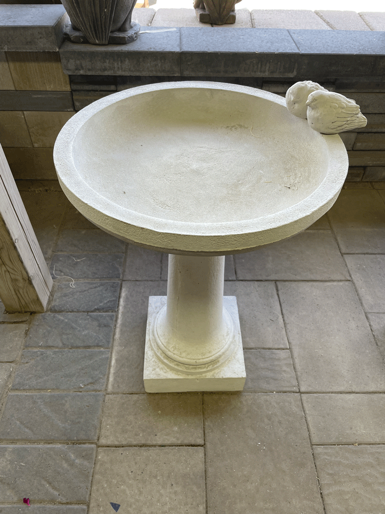 A type of bird bath carried by Sources Inc.