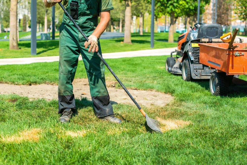 A landscaper preparing the ground to plant new grass