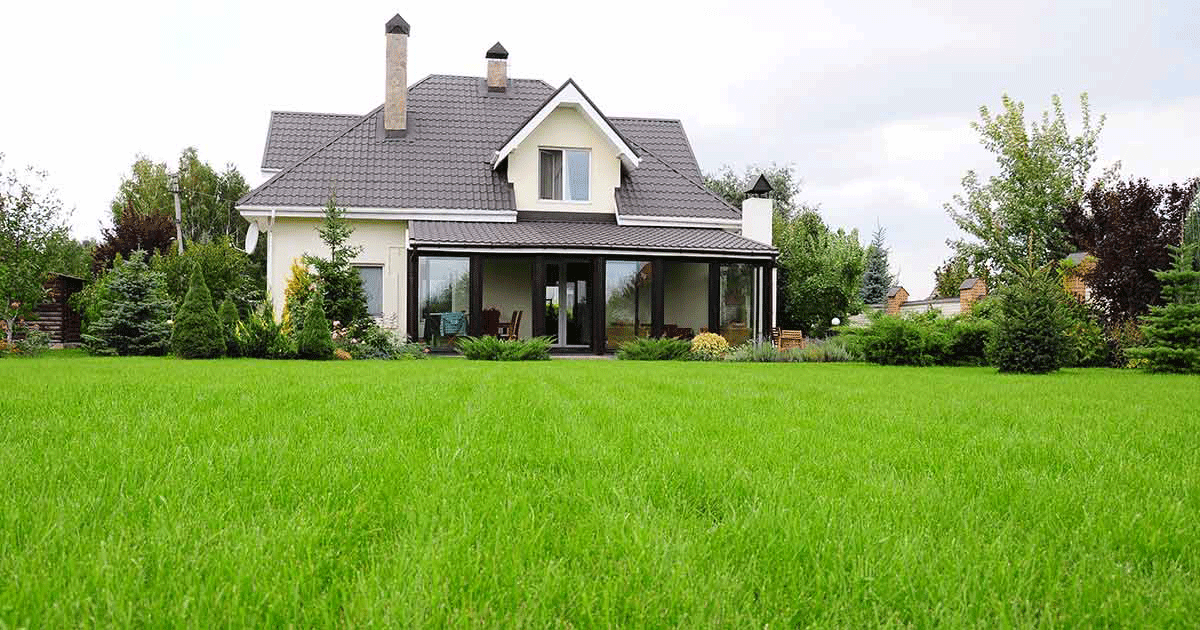 A perfectly maintained front lawn.