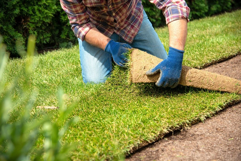 Revitalize your lawn with top-notch Grass Sod by Sources Inc.