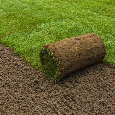 Investissez dans le meilleur gazon rouleau de Sources Inc. pour obtenir une pelouse magnifique.